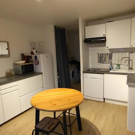 Lacanau Ocean Dans Les Pins Holiday home